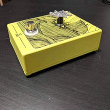 Load image into Gallery viewer, Arrrghh! Thar be gold in Acapulco!